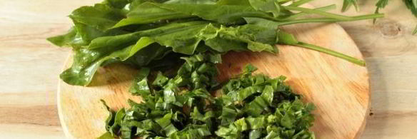 суп с крапивой, щавелем и яйцом