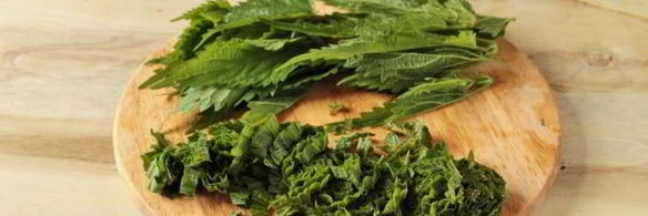 суп с крапивой, щавелем и яйцом