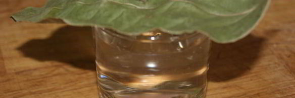 суп удачный обед с водкой