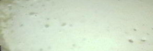 блинчики из майонеза и яиц