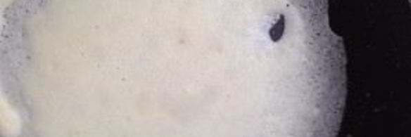 тонкие простые блины на молоке