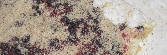 булочка черничный привет с селигера