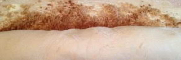 булочки с корицей и сливочной поливкой