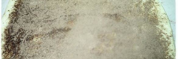 булочки с маком и с корицей