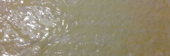 сырные булочки с базиликом на картофельно-дрожжевом тесте