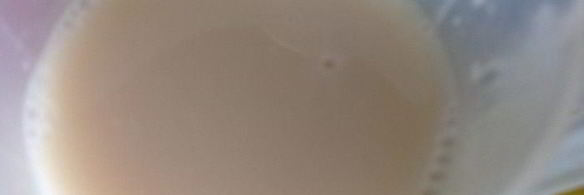 сырные булочки с базиликом на картофельно-дрожжевом тесте