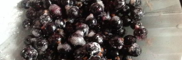 ватрушки с сюрпризом