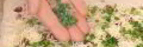 закусочные булочки с сыром и беконом