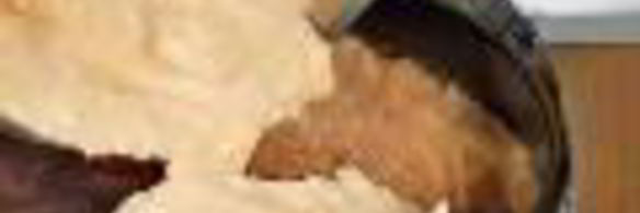 апельсиновый чизкейк с кумкватами