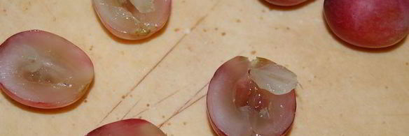 безумие 6 чизкейк ревень с виноградом