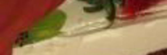 чизкейк без выпечки с сыром маскарпоне, клубникой и фруктами