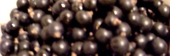 чизкейк со смородиной, маскарпоне и апельсиновым тестом