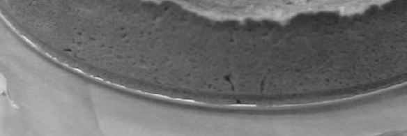 творожный чизкейк с абрикосами