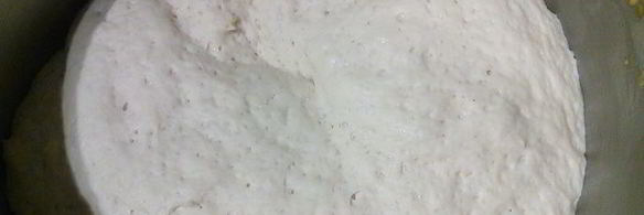 белый хлеб с камамбером