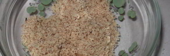 хлеб пшеничный с грецким орехом