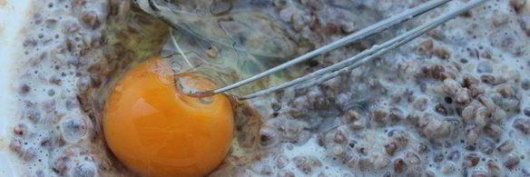 хрустящие гречневые хлебцы