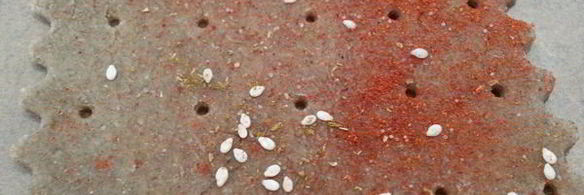 ржаные хлебцы