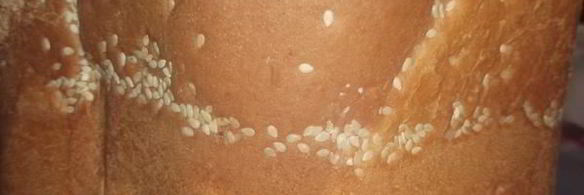 шоколадный хлеб