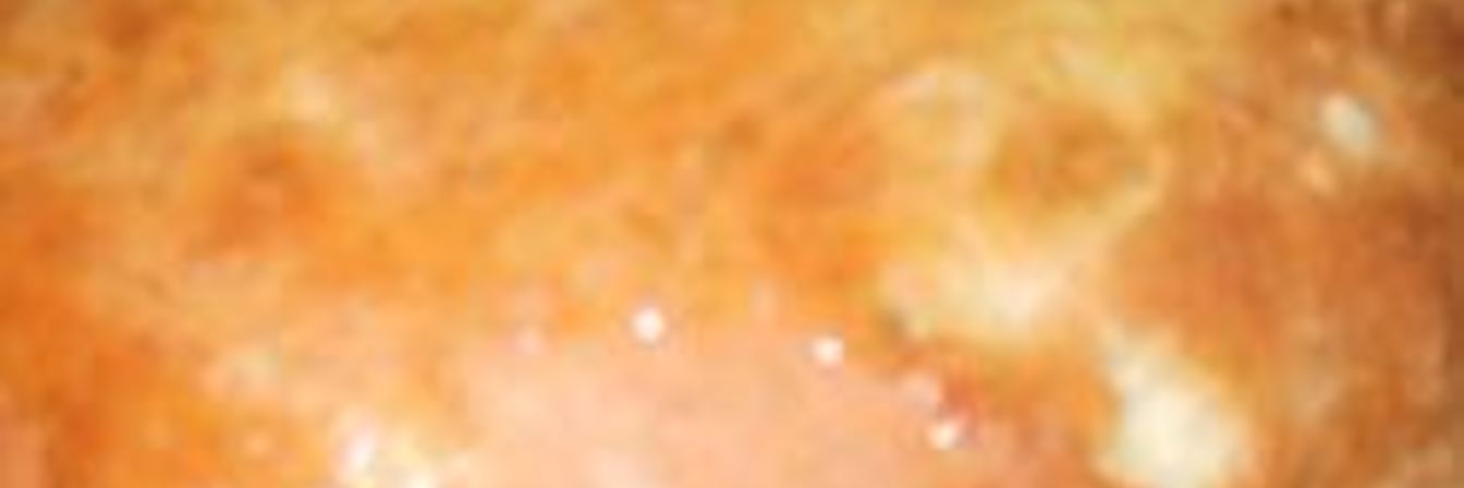 Венгерский хлеб Ханза с изюмом