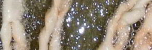 хворост традиционный