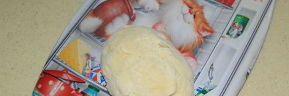 хворост зимние цветы