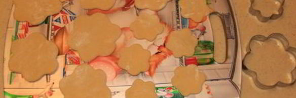 хворост зимние цветы