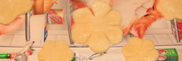 хворост зимние цветы