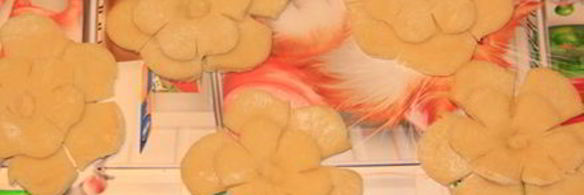 хворост зимние цветы