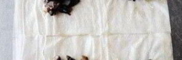 конвертики с грибами