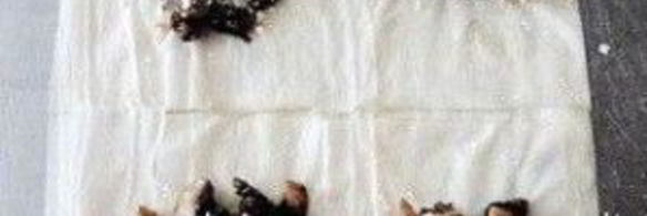 конвертики с грибами