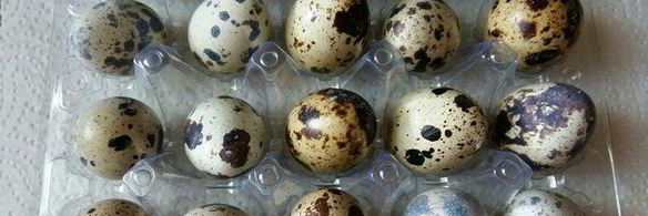 конвертики с перепелиным яйцом и зеленью