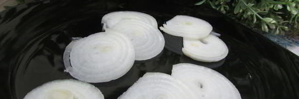 конвертики с семгой