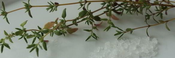 фокачча с острой копченой колбасой и тимьяном