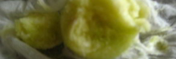 кабачково-луковая фокачча и не только