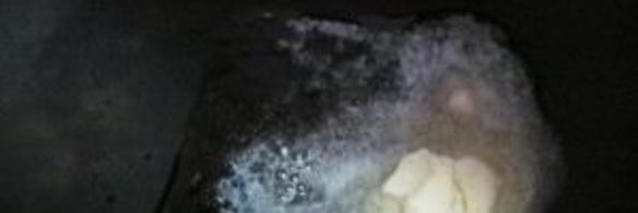 лепешка с яйцом на завтрак