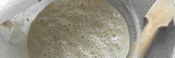 ржаная лепешка