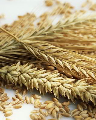 Ржаные лепешки