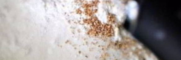 яблочные лепешки