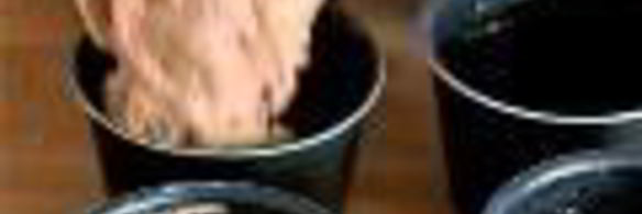 маффины из цукини с шоколадом