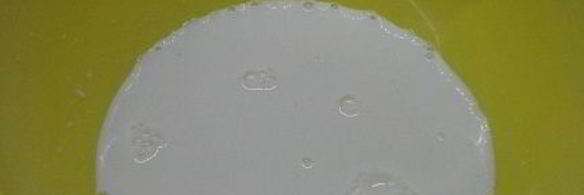 гречневые оладьи с творожным сыром