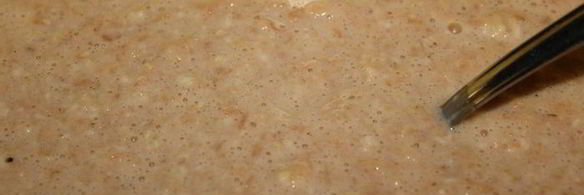 овсяные оладушки с яблочками