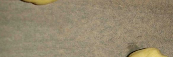 апельсиновое печенье с вяленой клюквой