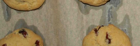 апельсиновое печенье с вяленой клюквой