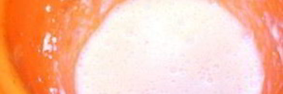 печенье кошка