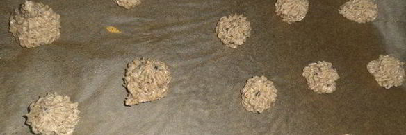 печенье с арахисом