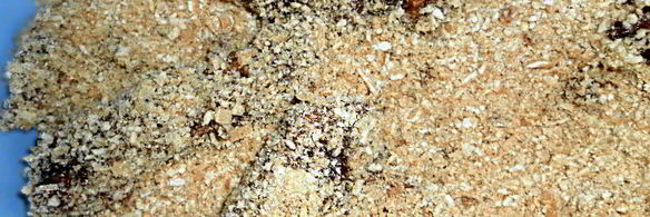 печенье золотая ивушка