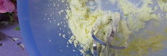 шоколадное печенье