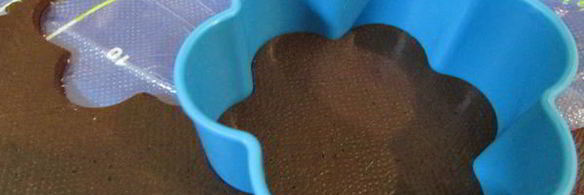 шоколадное печенье