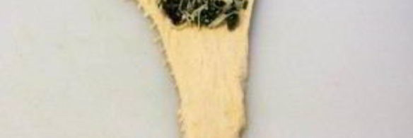 закусочные рогалики