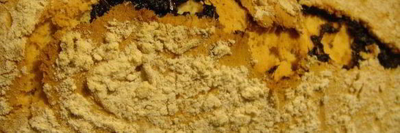 песочный рулет